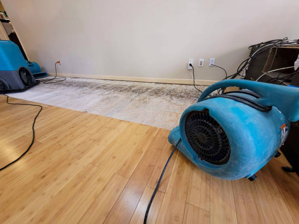 Professional Basement Flood Cleanup technician working in Gratiot, OH